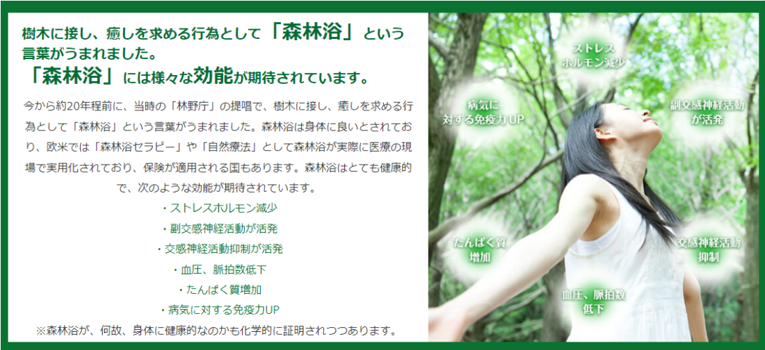 トップ