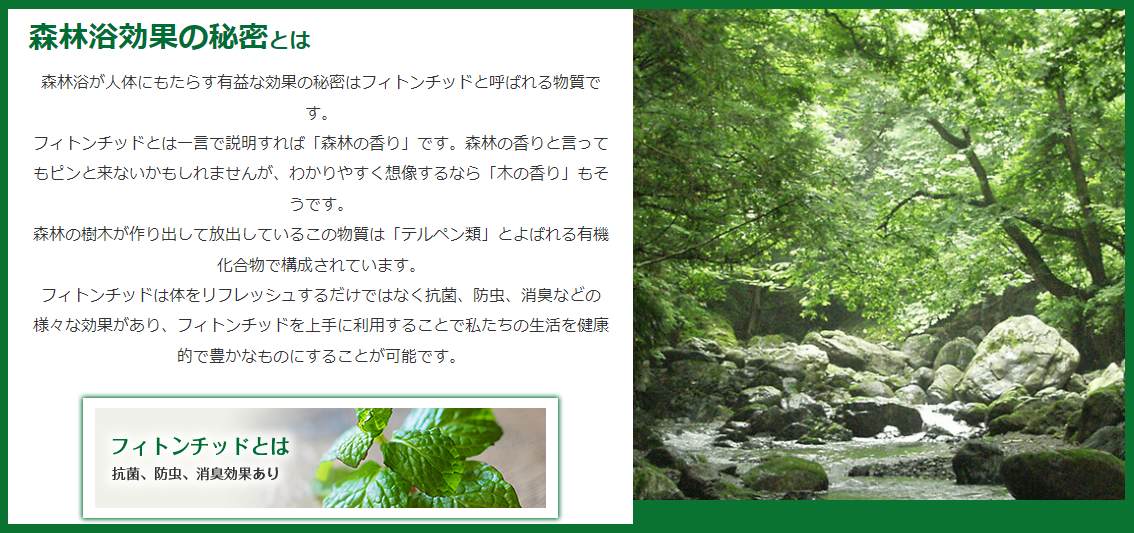 トップ