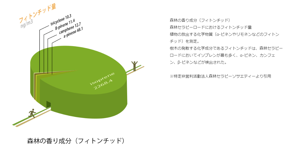 トップ