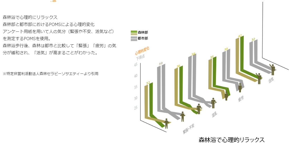 トップ