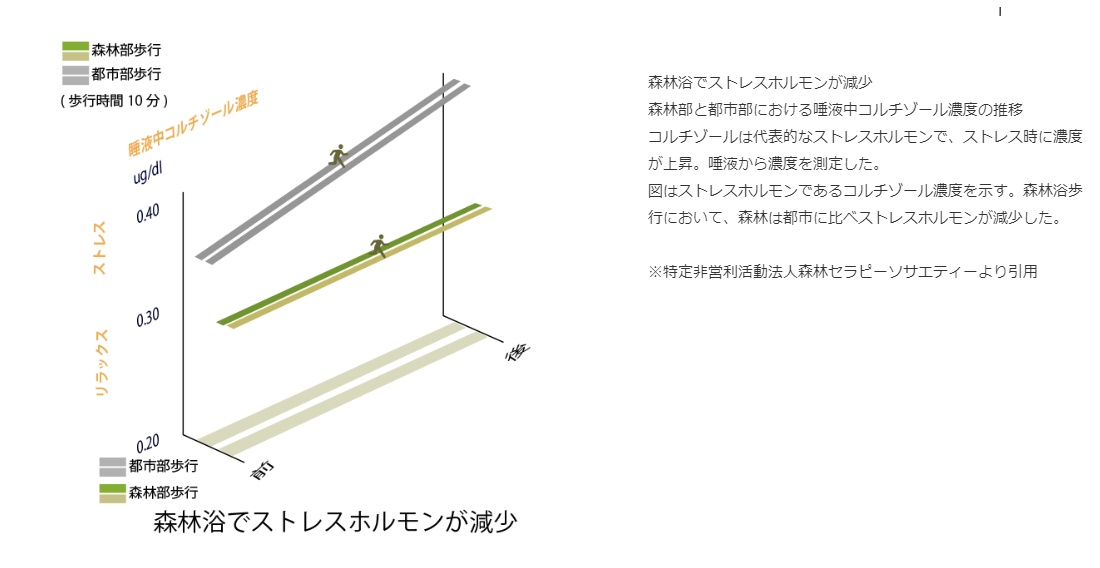 トップ