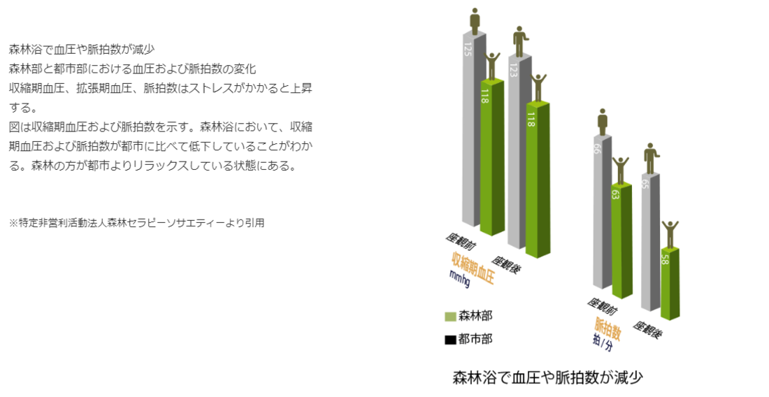 トップ