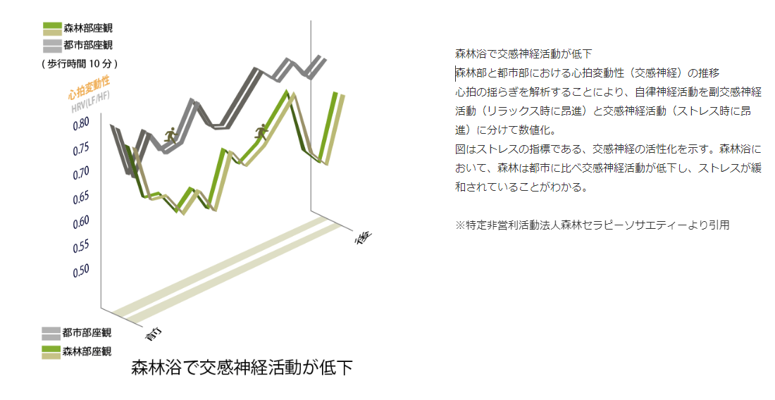 トップ