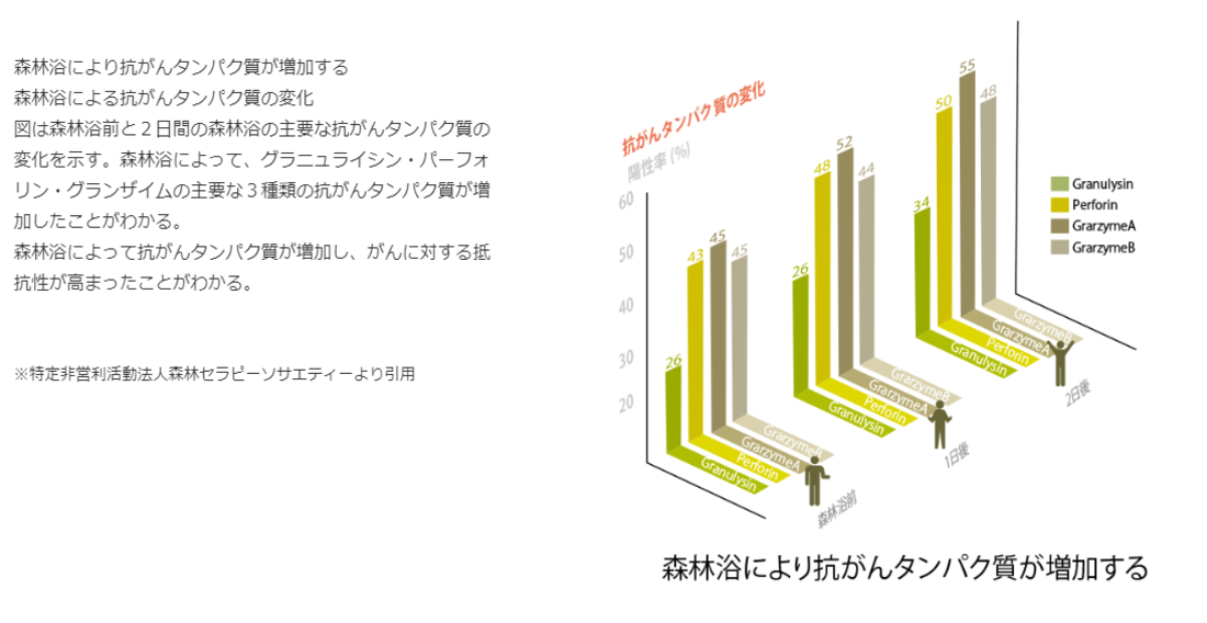 トップ
