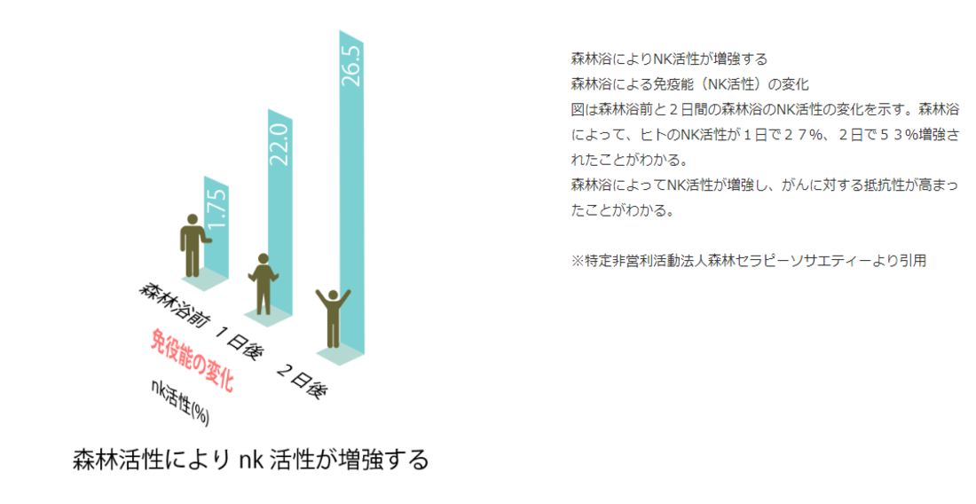 トップ
